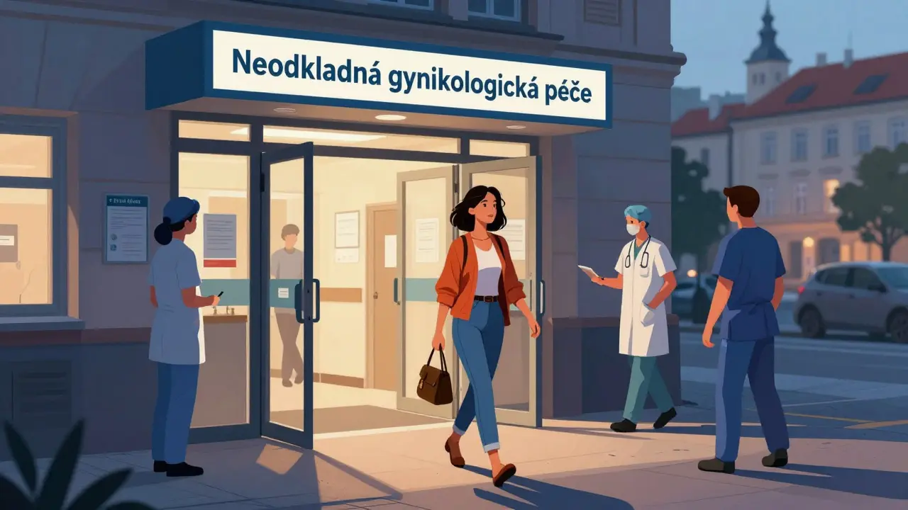 Žena vstupuje do neodkladného příjmu na nemocnici FN Motol v Praze večer.