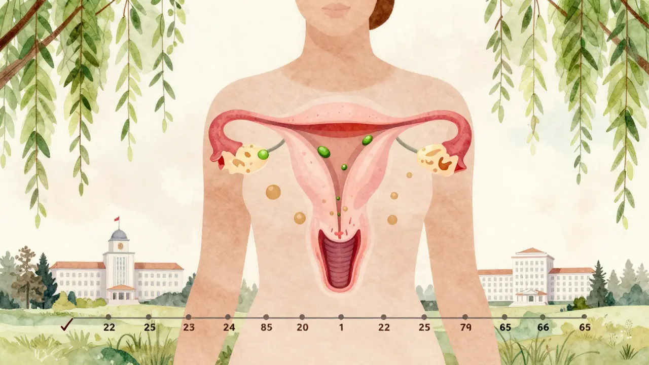 Stylizovaný náčrt ženského těla s přehledem vývoje buněk cervikálního čípku od 25 do 65 let.