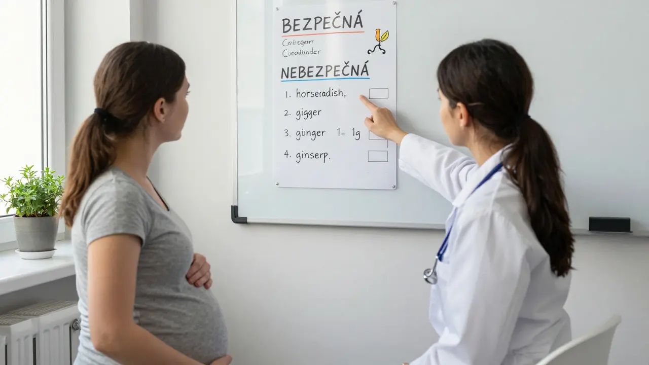 Těhotná žena konzultuje s gynekologem seznam bezpečných a nebezpečných koření v klinice.
